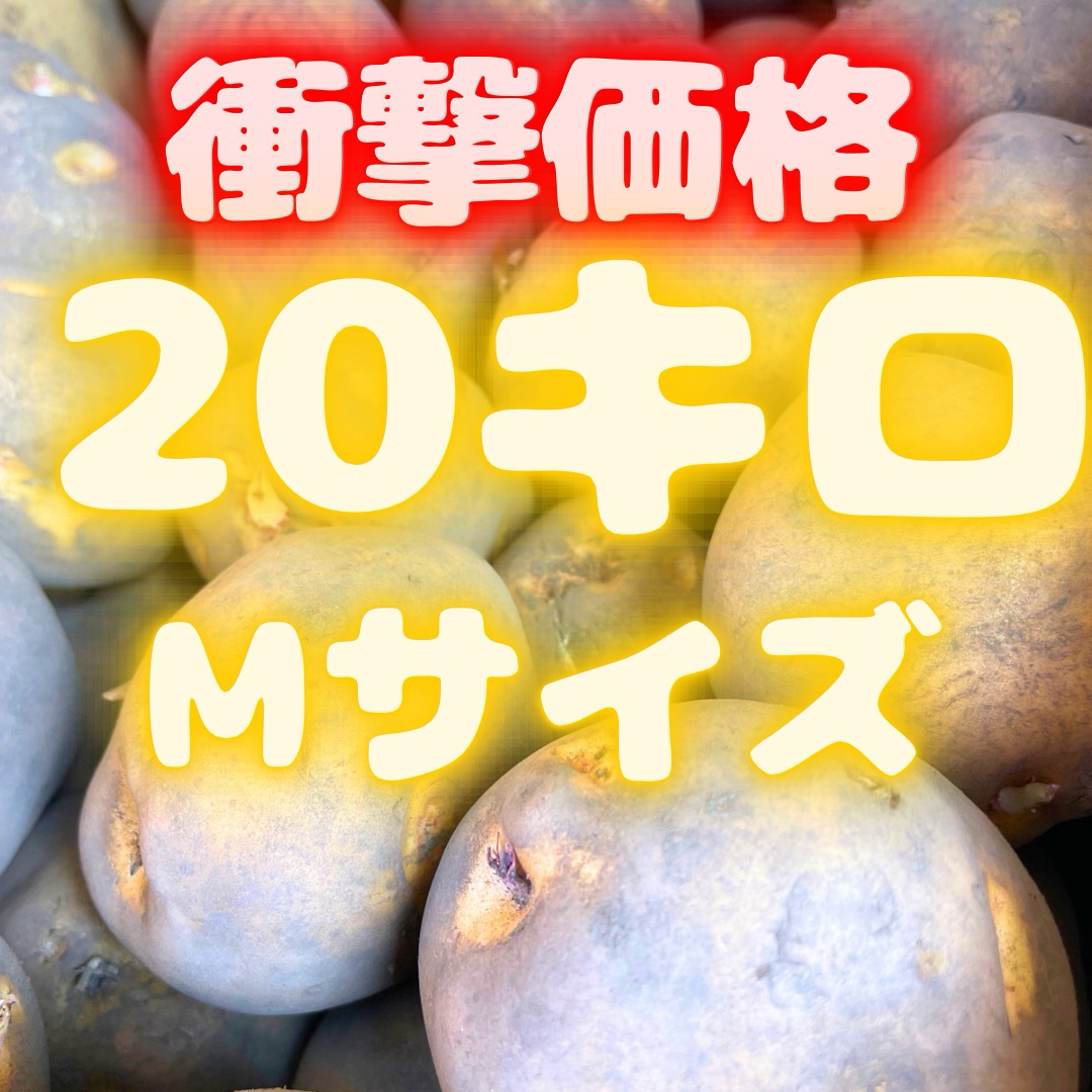 ❗️衝撃価格❗️北海産　ジャガイモ　20キロ　mサイズ　メークイン　31 食品/飲料/酒の食品(野菜)の商品写真