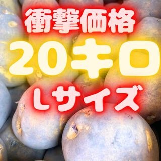 ❗️衝撃価格❗️北海産　じゃがいも　20キロ　Lサイズ　キタアカリ　31(野菜)