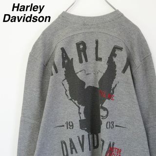 ハーレーダビッドソン(Harley Davidson)の【希少】ハーレーダビッドソン／ロンT　ヘンリーネック　ワッフル地　バックプリント(Tシャツ/カットソー(七分/長袖))