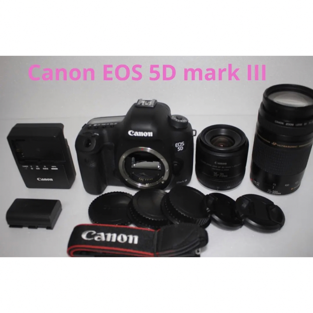 キャノンCanon EOS 5D MarkIII標準&望遠ダブルレンズセットスマホ/家電/カメラ