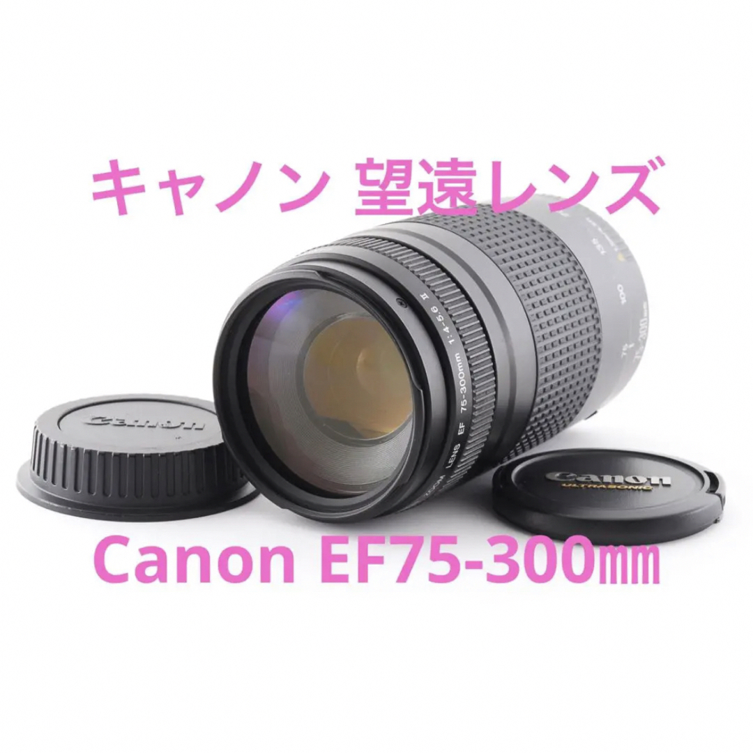 Canon - 美品 キャノン CANON EF 75-300mm F4-5.6 IIの通販 by JYJ