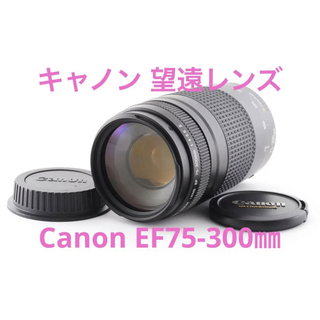 Canon キャノン 75-300mm F4-5.6 II