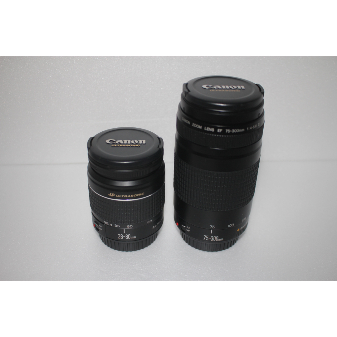 クリスマスファッション ☆キャノン☆Canon 80D標準&望遠ダブルレンズ クリスマスファッション ☆キャノン☆Canon 80D標準&望遠ダブルレンズ