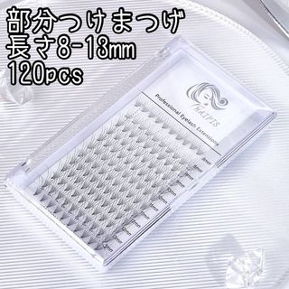 部分 つけまつげ 長さ混合 120pcs 8-13mm ブラック(つけまつげ)