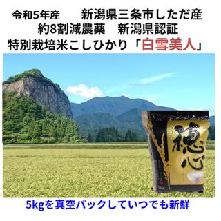 令和5年産新米　減農薬　新潟こしひかり白米真空パック10kg　新潟県三条市特栽米(米/穀物)