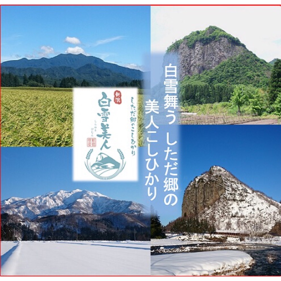 令和5年産新米　減農薬　新潟こしひかり白米真空パック10kg　新潟県三条市特栽米 食品/飲料/酒の食品(米/穀物)の商品写真