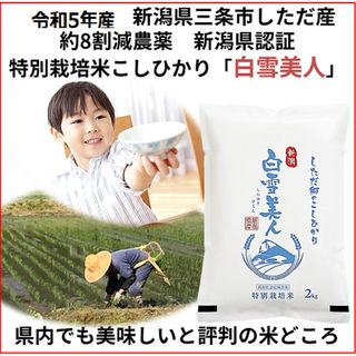 令和5年産新米　減農薬　新潟こしひかり白米10kg 新潟県三条市旧しただ村産　(米/穀物)