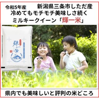 令和5年産新米　新潟産ミルキークイーン白米10kg 新潟県三条市旧しただ村産(米/穀物)