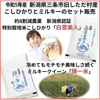 減農薬　新潟こしひかり白米5kgとミルキークイーン白米5kg 新潟県三条市しただ(米/穀物)