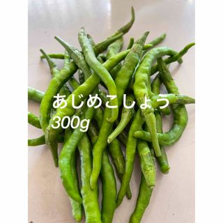 青唐辛子　あじめこしょう  300g 農薬不使用(野菜)