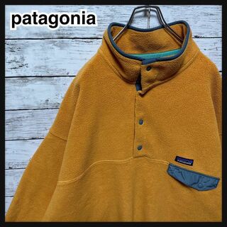 64【人気Lサイズ】パタゴニア☆ロゴタグ　ハーフスナップT フリースジャケット
