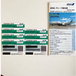 エーエヌエー(ゼンニッポンクウユ)(ANA(全日本空輸))のANA 株主優待優待券　ANA グループ優待券(その他)