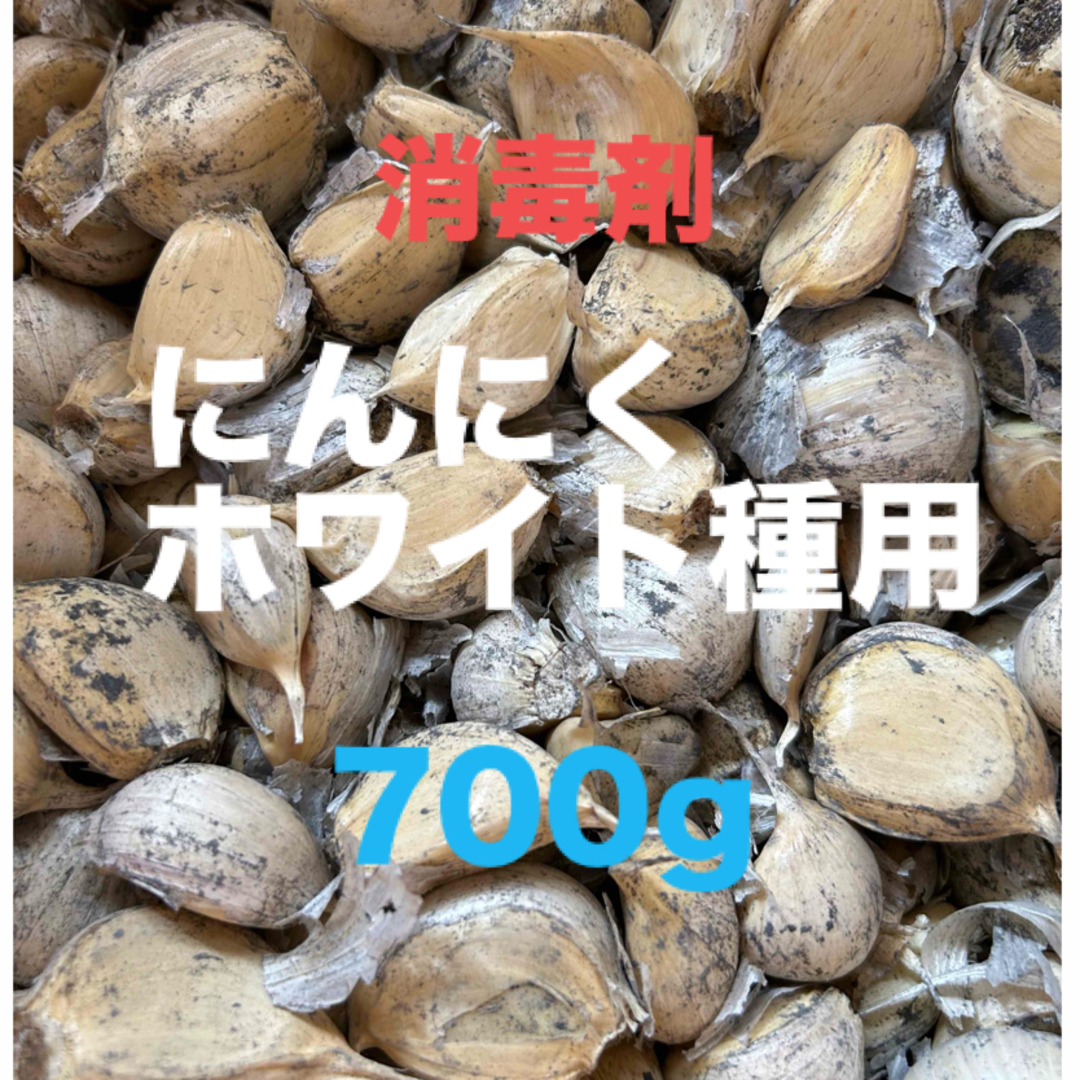 【これで最後】北海道産　にんにくホワイト種用700g 食品/飲料/酒の食品(野菜)の商品写真