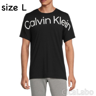カルバンクライン(Calvin Klein)の【新品】カルバンクライン Tシャツ ビッグロゴ ブラック L(Tシャツ/カットソー(半袖/袖なし))