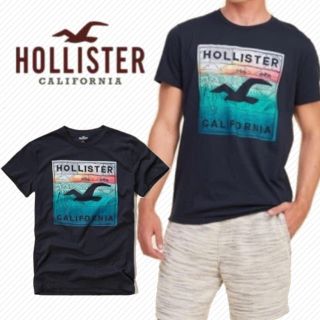 ホリスター(Hollister)の新品 ホリスター Tシャツ Sサイズ メンズ 完売モデル(Tシャツ/カットソー(半袖/袖なし))