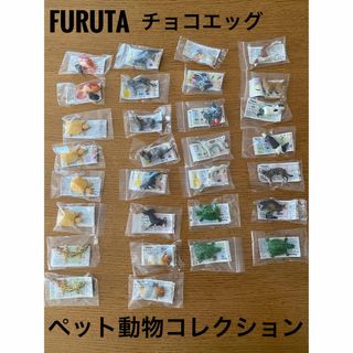 フルタセイカ(フルタ製菓)のフルタ チョコエッグ ペット動物 コレクション 16種類 30個 ガチャ 景品(その他)