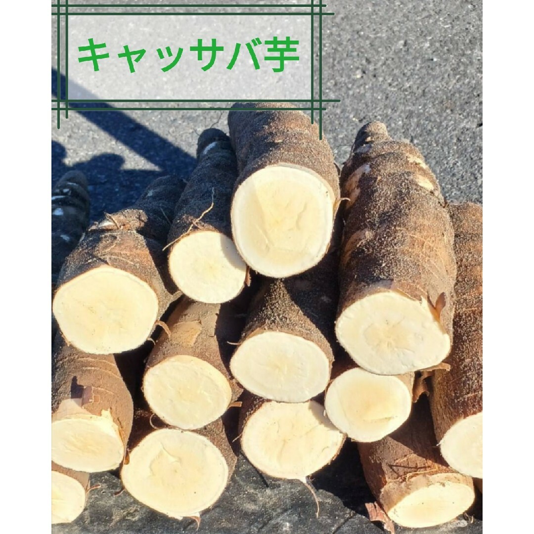 キャッサバ 5kg A級品