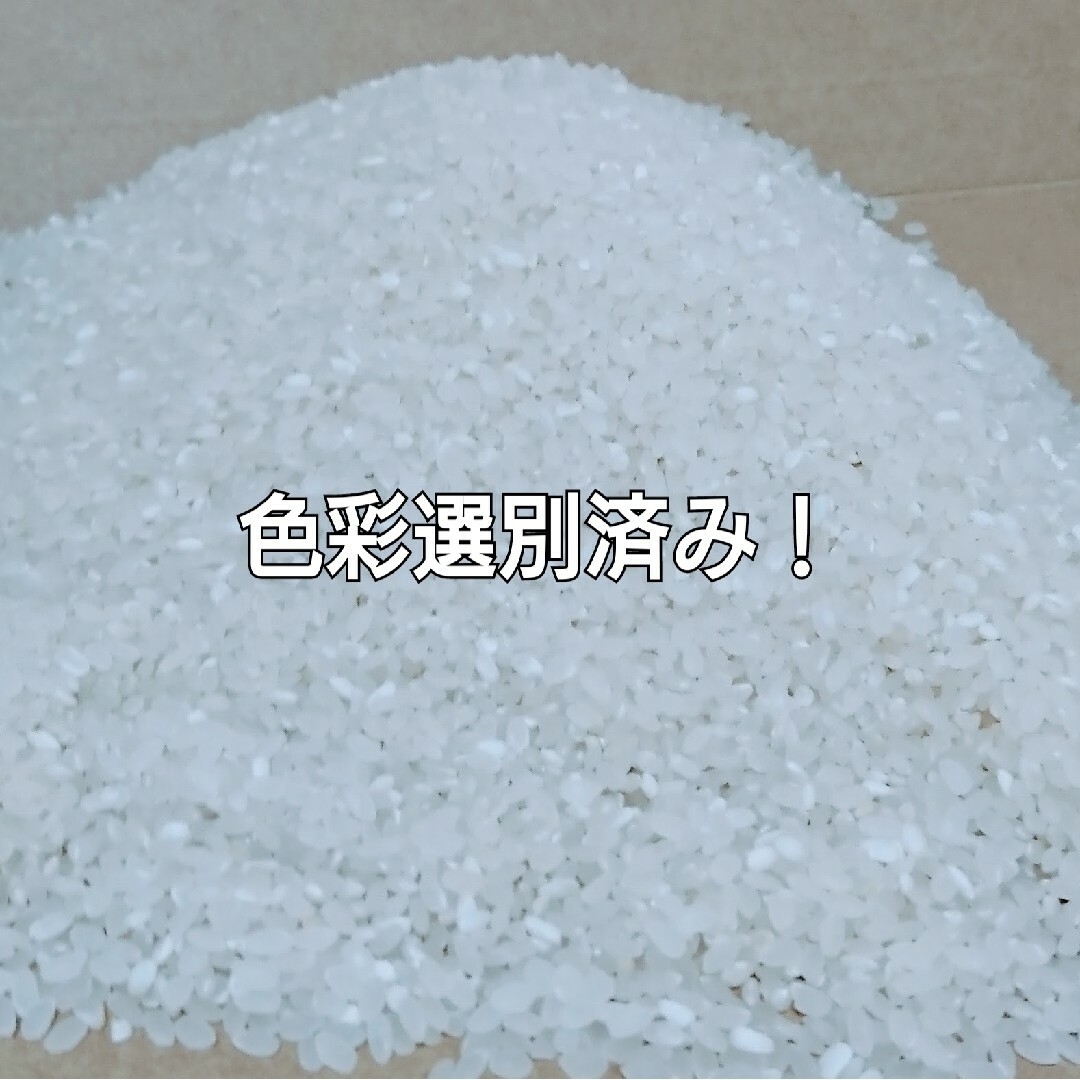 年内お値引き❗ 新米 20kg 令和5年度 大分県産 ひのひかり 山香米 食品/飲料/酒の食品(米/穀物)の商品写真