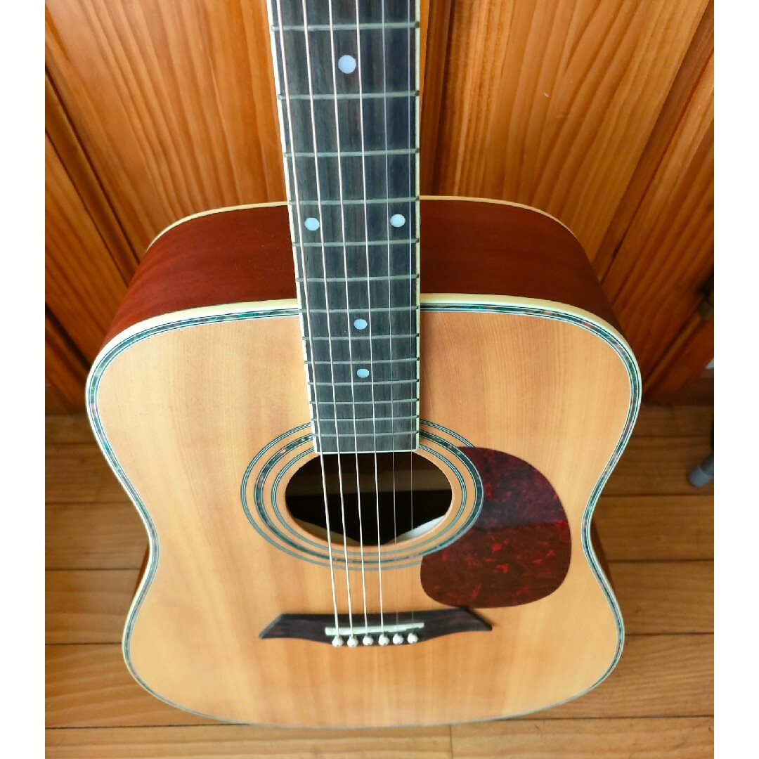 エリオスアコースティックギター 楽器のギター(アコースティックギター)の商品写真