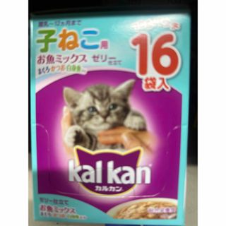 マース(MARS)のカルカンパウチ　子猫用　総合栄養食70g×48P(猫)