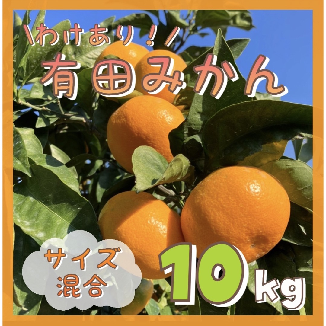 ワケアリ!! 和歌山 有田みかん 10キロ【サイズ混合】ミカン 食品/飲料/酒の食品(フルーツ)の商品写真