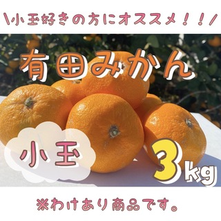 わけあり!!和歌山 有田みかん 3kg【小玉】フルーツ 柑橘 ミカン(フルーツ)