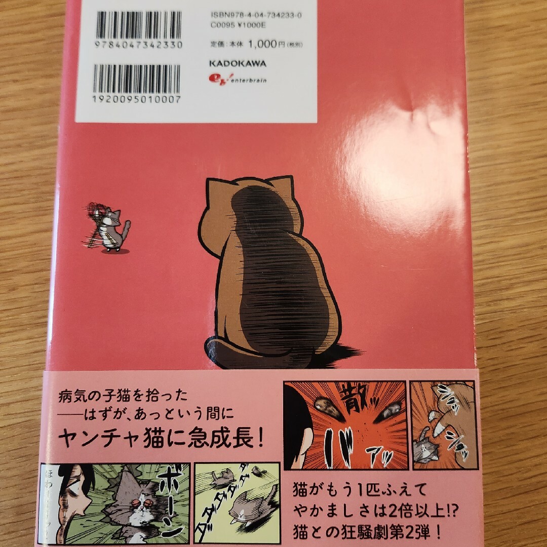 角川書店(カドカワショテン)の鴻池剛と猫のぽんたニャアアアン！ エンタメ/ホビーの漫画(その他)の商品写真