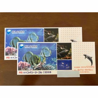 新江ノ島水族館　招待券　2枚セット　ペア(水族館)