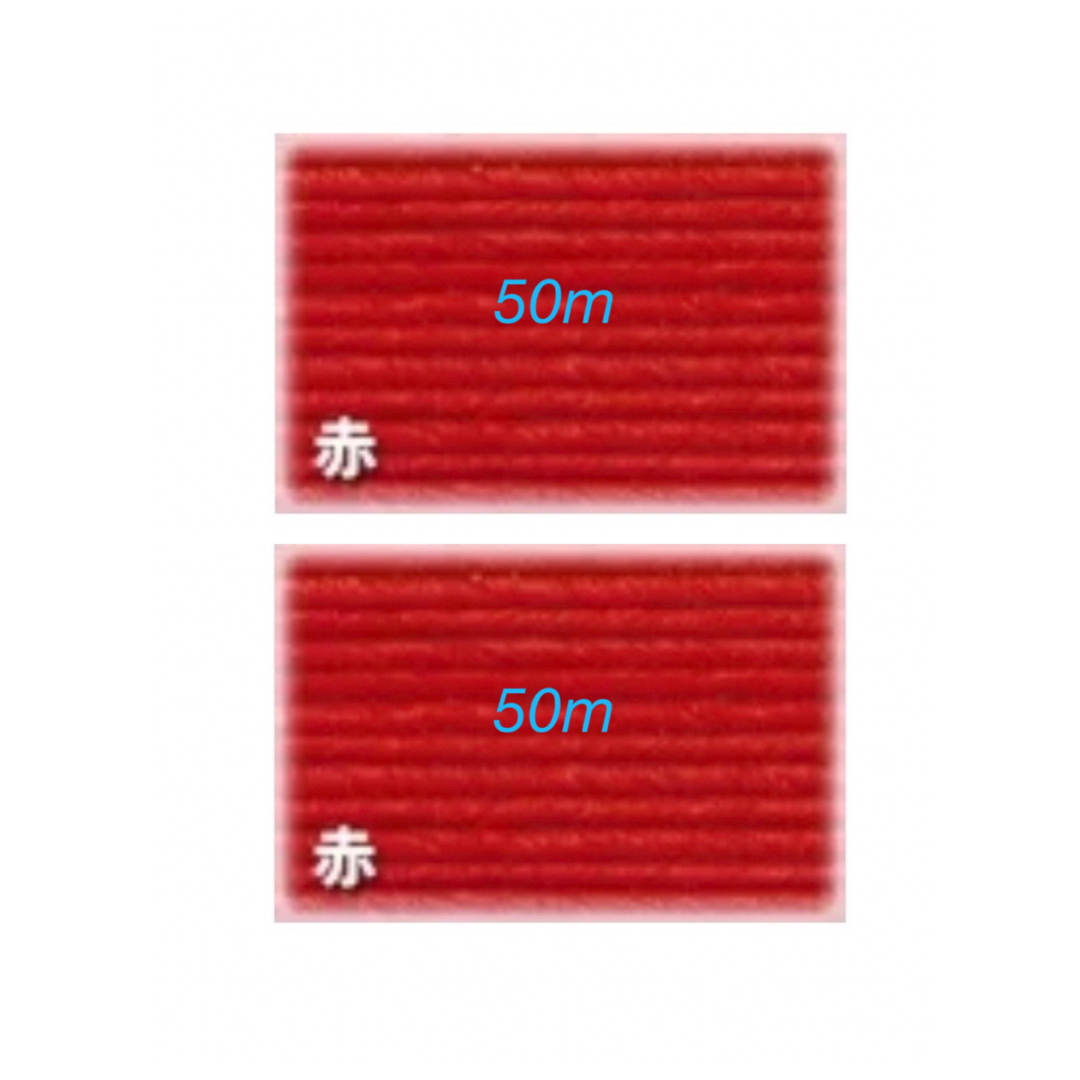 赤　50m X2  12本とり　クラフトバンド ハンドメイドの素材/材料(各種パーツ)の商品写真