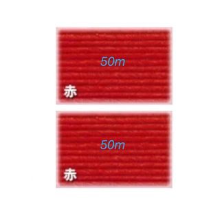 赤　50m X2  12本とり　クラフトバンド(各種パーツ)