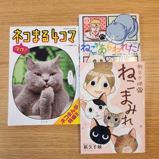 ねこがあらわれた！(青年漫画)