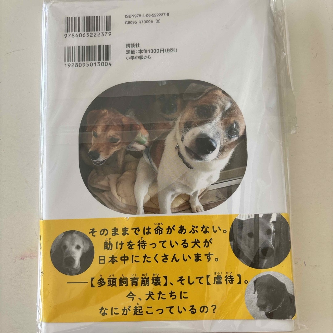 📕犬たちよ、今、助けに行くからね📕 エンタメ/ホビーの本(絵本/児童書)の商品写真