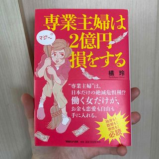 専業主婦は２億円損をする(文学/小説)