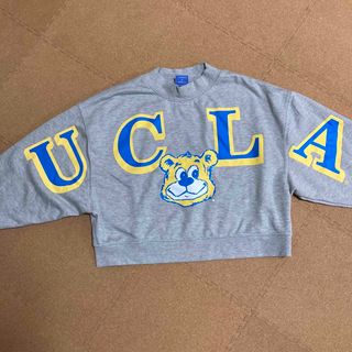 ユーシーエルエー(UCLA)のUCLA♡レディース(トレーナー/スウェット)