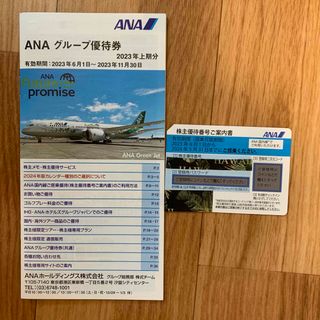 ANA  株主優待券　1枚　2023/11/30までのグループ割引券付(航空券)