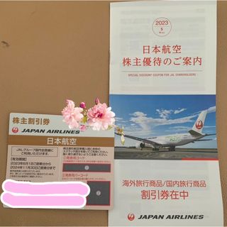 ジャル(ニホンコウクウ)(JAL(日本航空))のJAL株主優待券　24年11月末まで(その他)