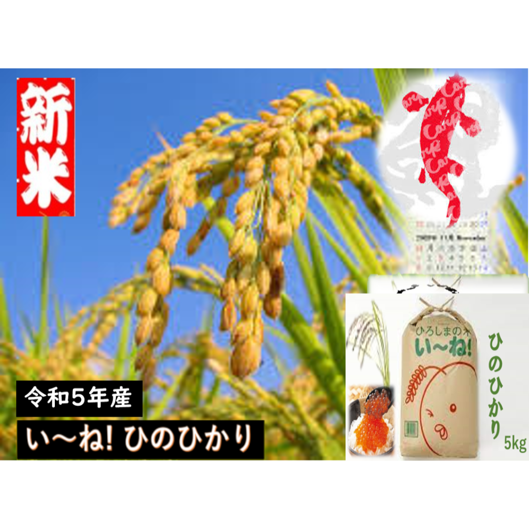 R5年新米★　げんき米い～ね！ヒノヒカリ５kg 食品/飲料/酒の食品(米/穀物)の商品写真