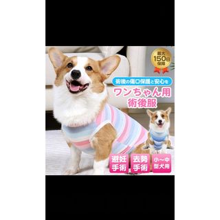 犬　術後服　新品(犬)