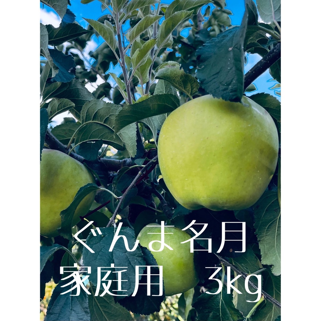 信州産　ぐんま名月　家庭用3kg 食品/飲料/酒の食品(フルーツ)の商品写真
