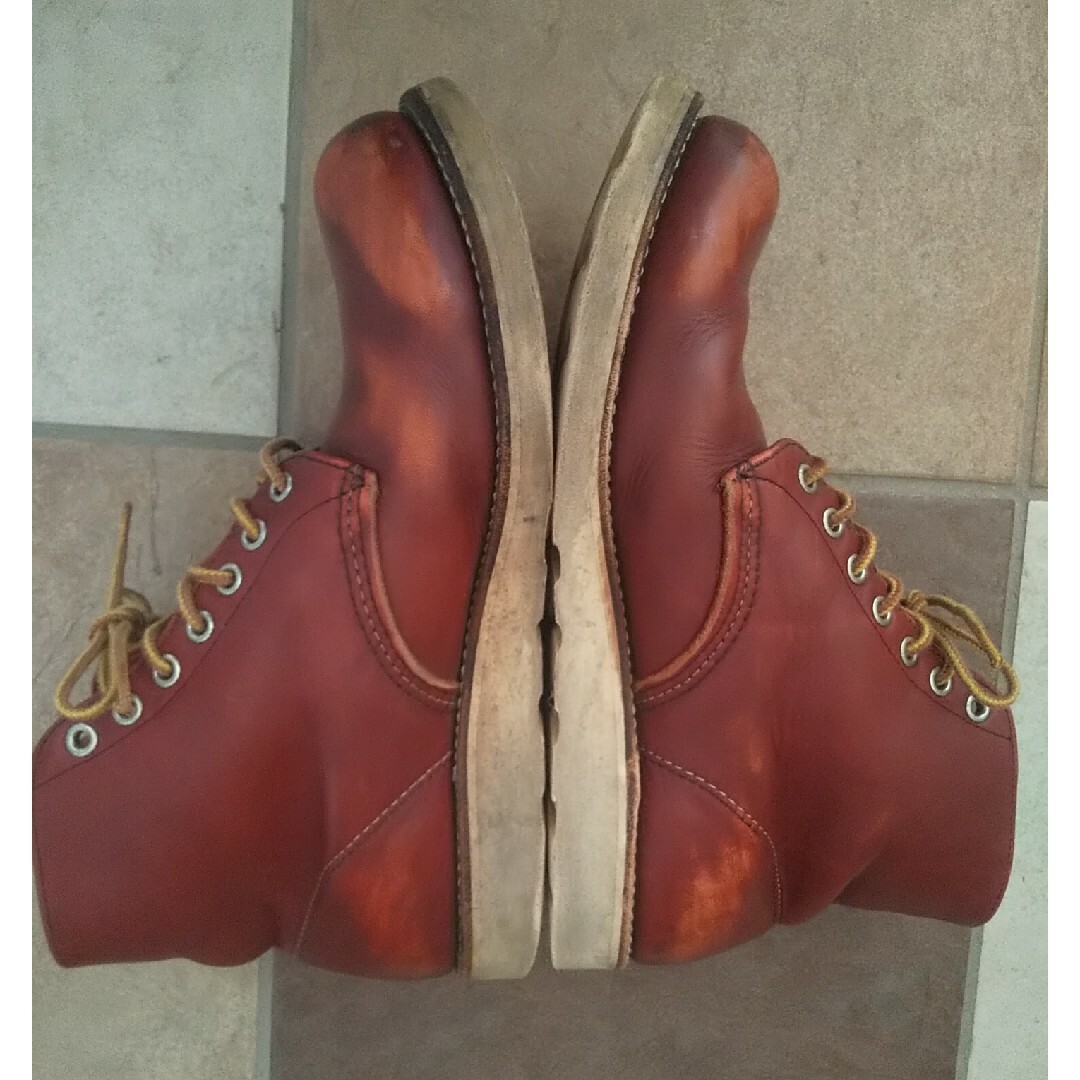 REDWING - レッドウイング REDWING アイリッシュセッター 8166 半円犬