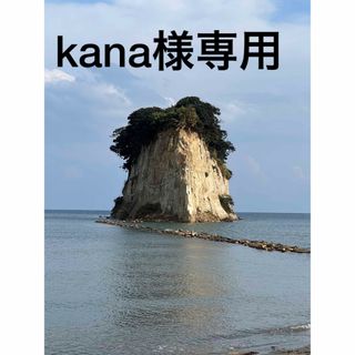 kana様専用(おもちゃ/雑貨)