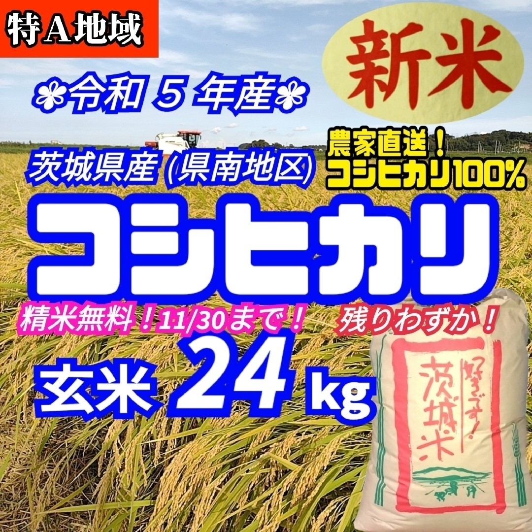 令和5年産 茨城県産 特A 新米 コシヒカリ 玄米 24Kg 24キロ_②-