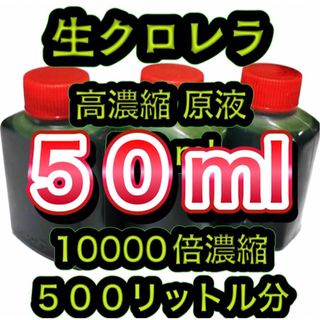 【高濃縮】生クロレラ原液５０ 稚魚 めだか メダカ psb 金魚 熱帯魚(アクアリウム)
