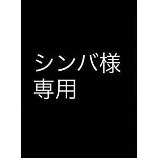 シンバ様　専用(その他)