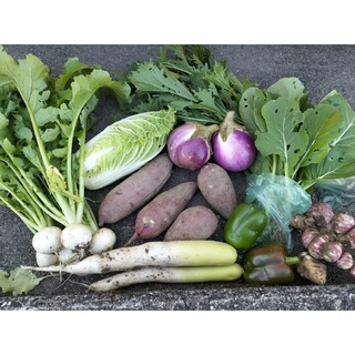 自然農　固定種　在来種　野菜セット 60(野菜)