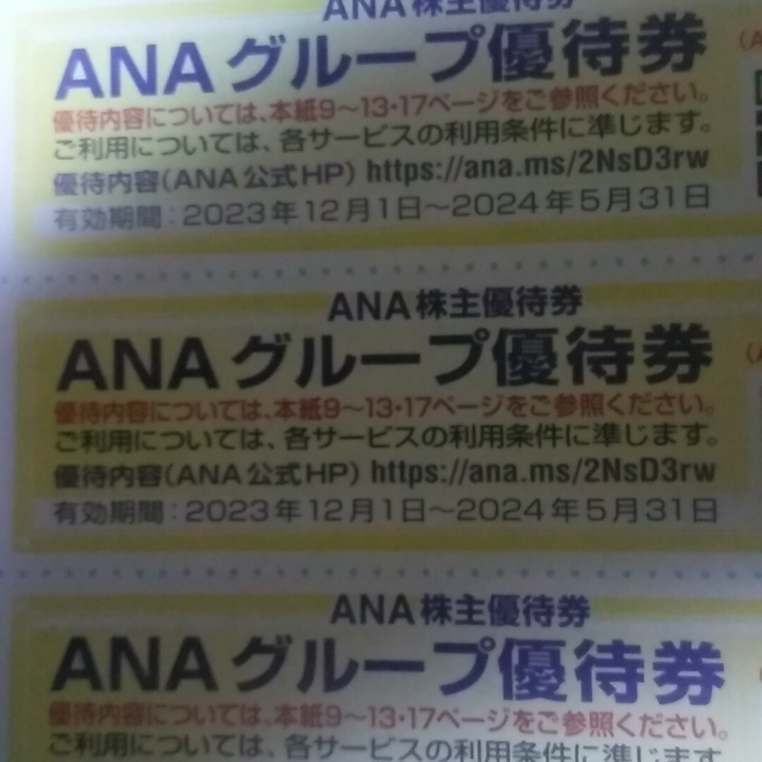 ANA(全日本空輸)(エーエヌエー(ゼンニッポンクウユ))のANA株主優待割引券2枚&優待券7枚 チケットの乗車券/交通券(航空券)の商品写真