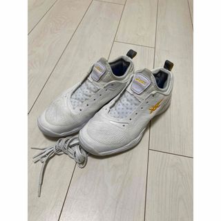 アシックス(asics)のASICS アシックス　GLIDENOVA FF 2 グライドノヴァ　FF2(バスケットボール)