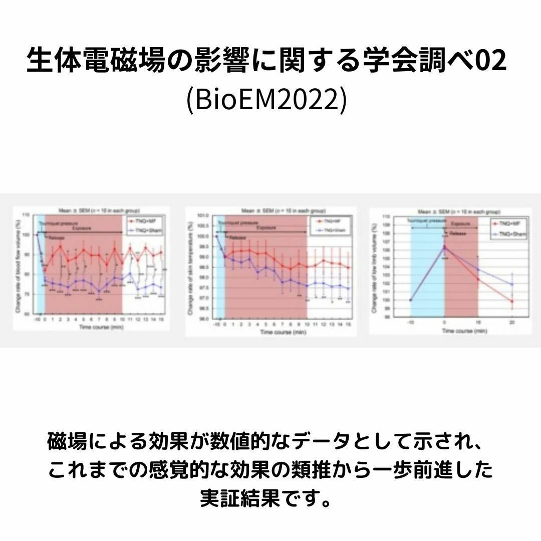 【血行促進・ダイエット】磁気アンクレット お得な2本セット♪  むくみ たるみに レディースのアクセサリー(アンクレット)の商品写真