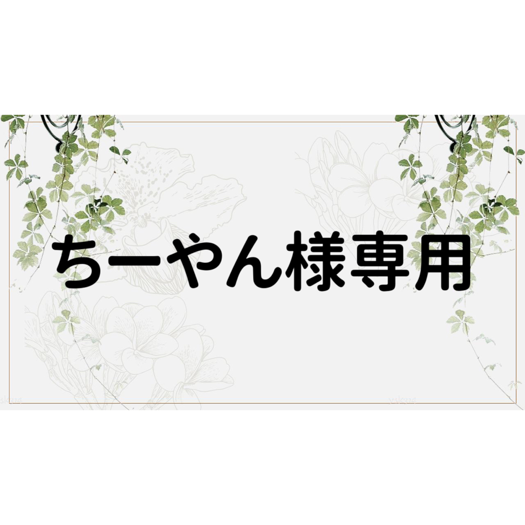 ちーやん様専用ページの通販 by コラージュ屋/新品出品中|ラクマ