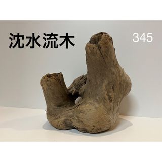 沈水　流木【345】(置物)